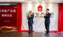 温州领导爆料新闻报道最新,揭秘背后惊人真相！