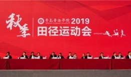 青岛黄海最新爆料,揭秘球队备战新赛季的神秘面纱