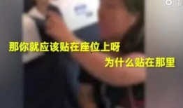 荷兰回应内讧视频爆料,官方回应与真相揭秘